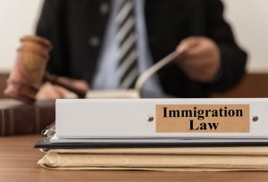 Immigration laws in the UK