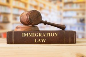 Immigration law book and a gavel